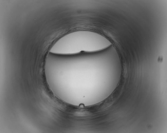 X0000113540451200909181027