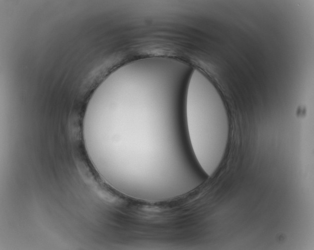 X0000113540453200909181027