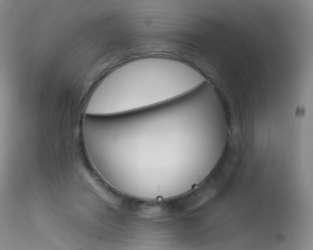 X0000113540454200909181027