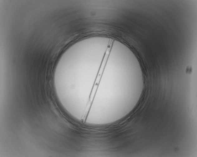 X0000113540456200909181027