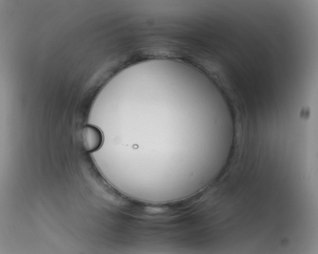 X0000113540457200909181027