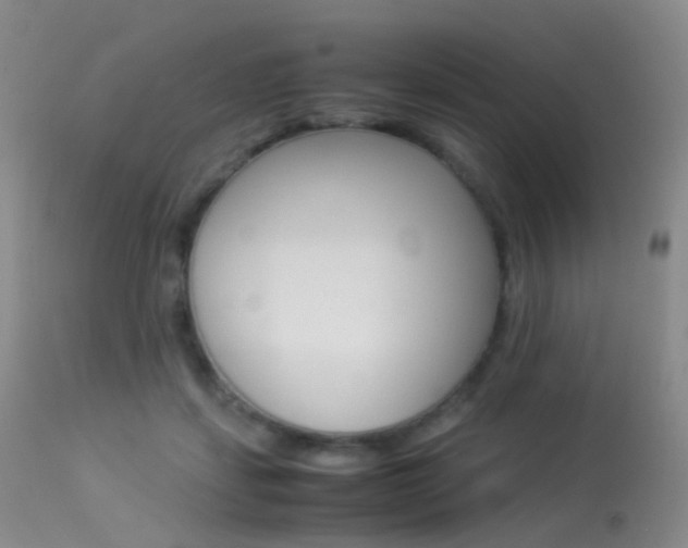 X0000113540459200909181027