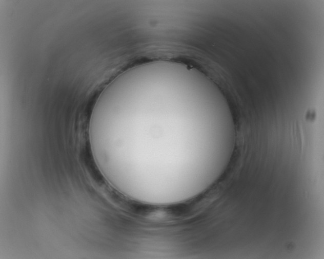 X0000113540460200909181027