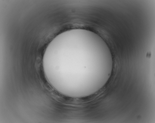 X0000113540463200909181027
