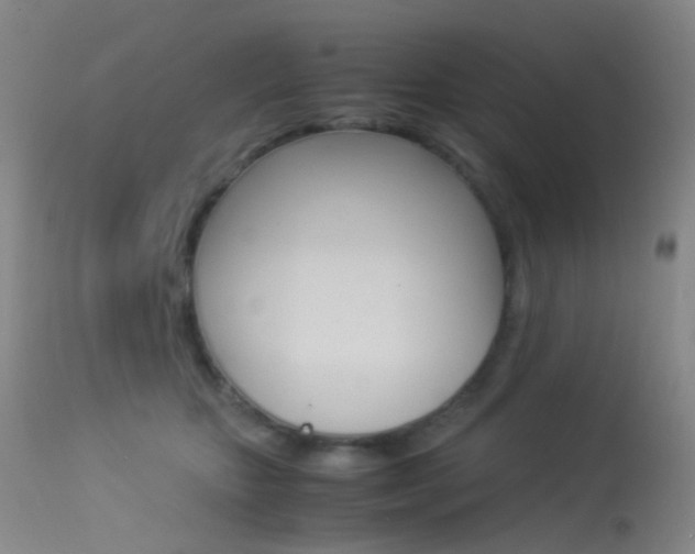 X0000113540467200909181027