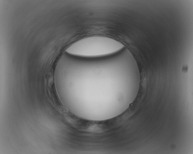 X0000113540471200909181027