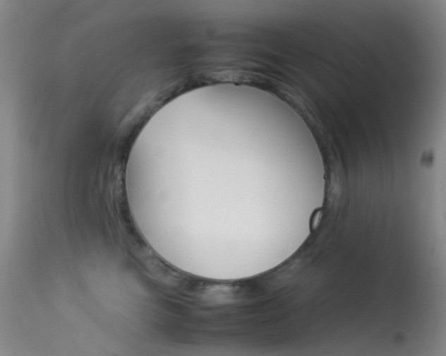 X0000113540473200909181027