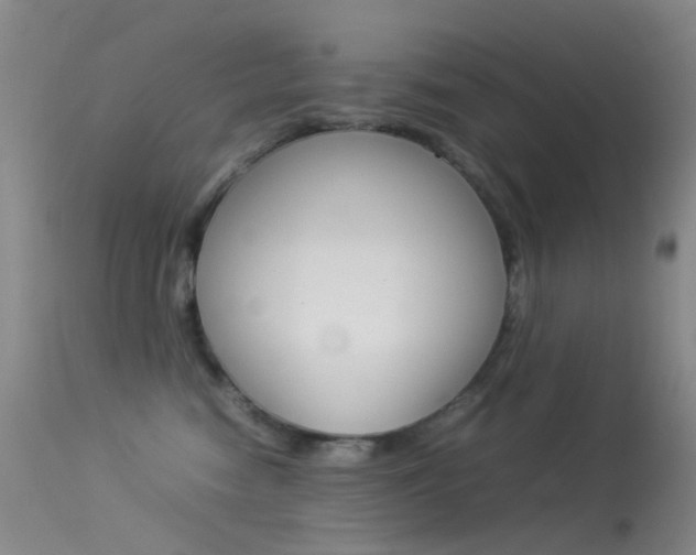X0000113540474200909181027