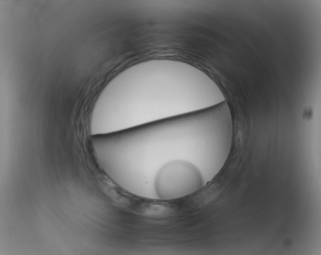 X0000113540475200909181027