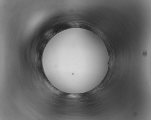 X0000113540477200909181027