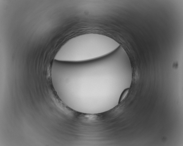 X0000113540478200909181027