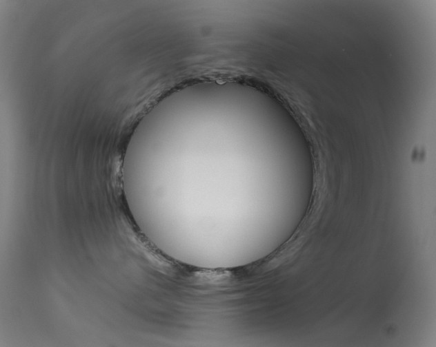 X0000113540480200909181028