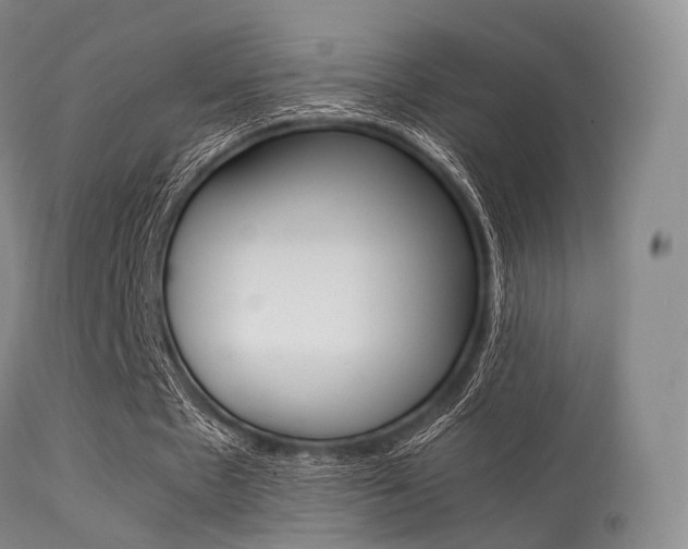 X0000113540481200909181027