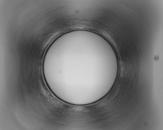 X0000113540482200909181027