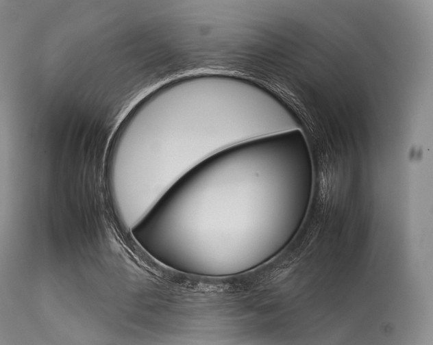 X0000113540484200909181027