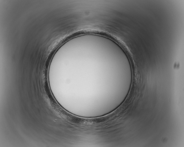 X0000113540487200909181027