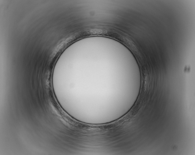 X0000113540490200909181027