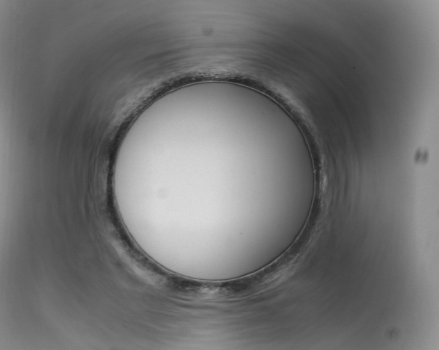 X0000113540493200909181027
