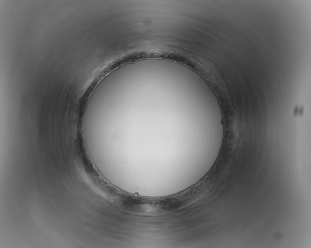 X0000113540496200909181027