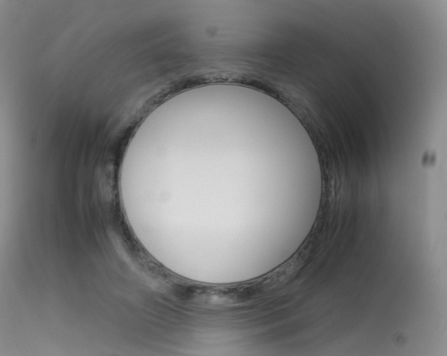 X0000113540498200909181027