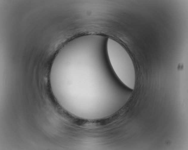 X0000113540499200909181027