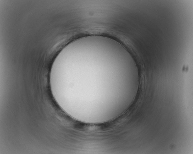 X0000113540501200909181027