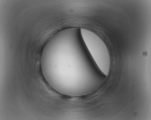 X0000113540505200909181027
