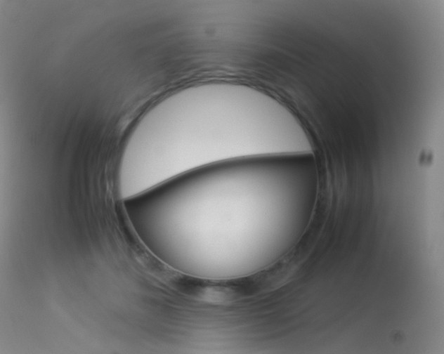 X0000113540508200909181026