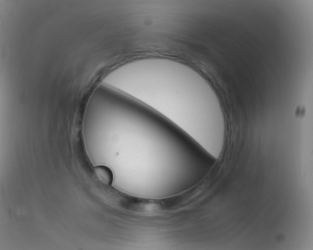 X0000113540509200909181026