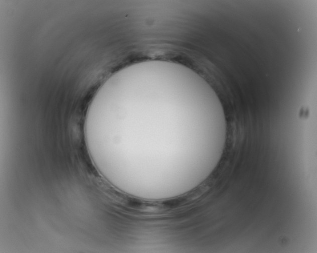 X0000113540510200909181026
