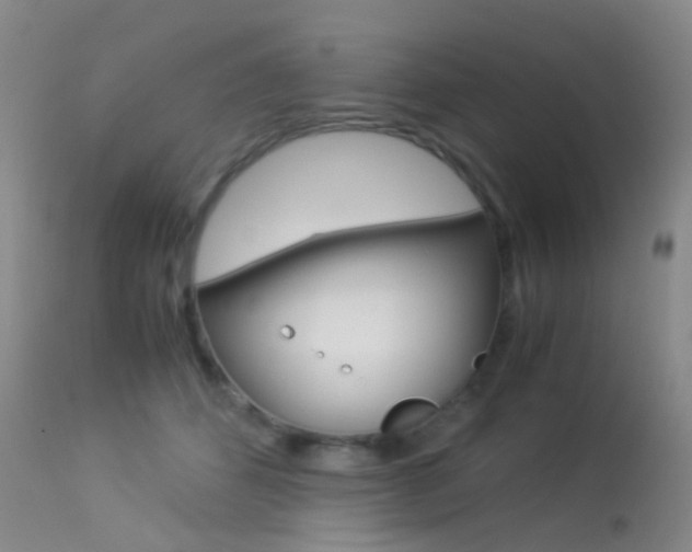 X0000113540512200909181026
