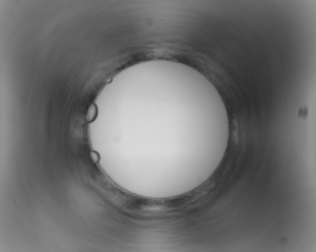 X0000113540514200909181026