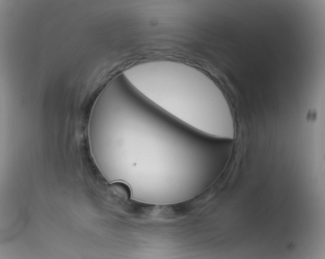 X0000113540517200909181026