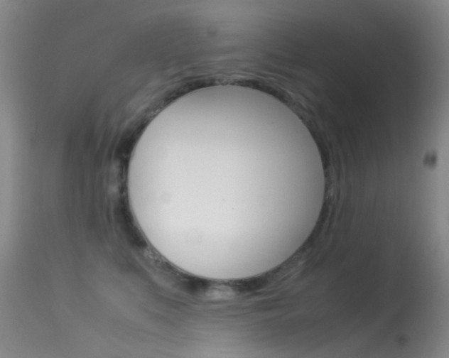 X0000113540519200909181026