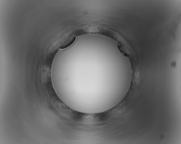 X0000113540521200909181026