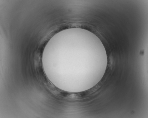 X0000113540522200909181026
