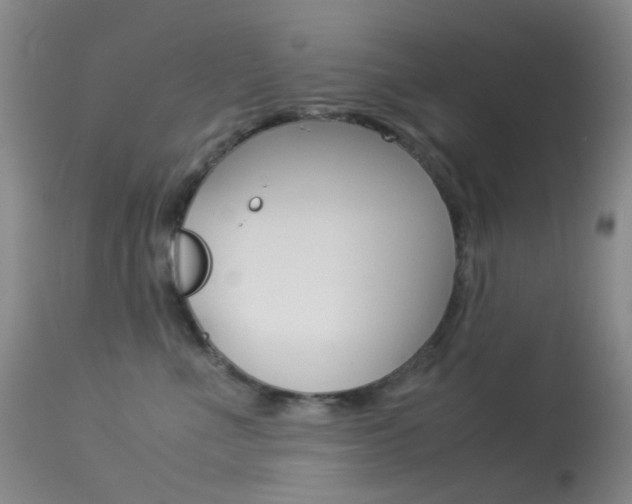 X0000113540523200909181026