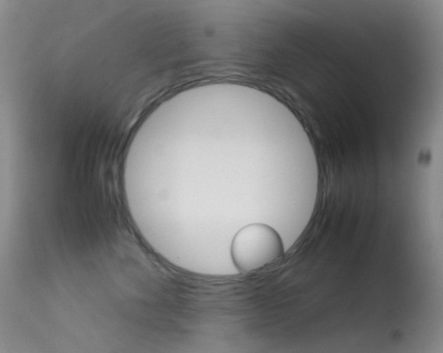 X0000113540524200909181026