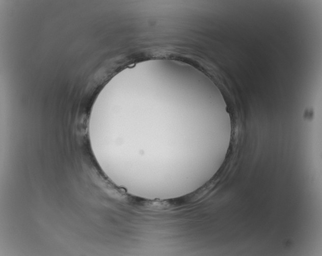 X0000113540525200909181026