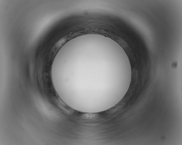X0000113540526200909181026