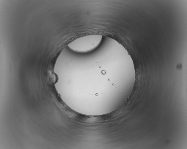 X0000113540527200909181026