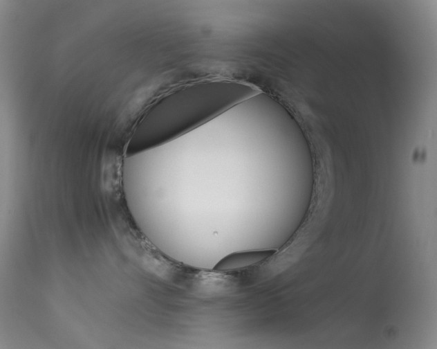 X0000113540528200909181026