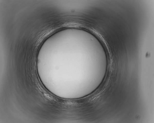 X0000113540529200909181026