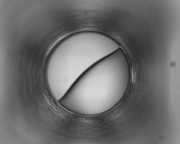 X0000113540531200909181026