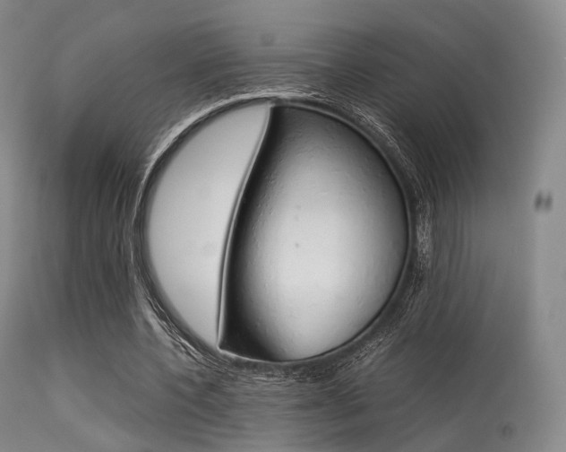 X0000113540532200909181026