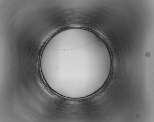 X0000113540533200909181026