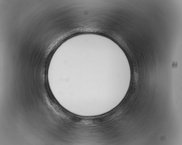 X0000113540534200909181026