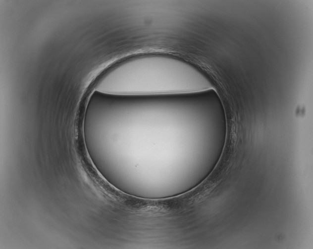 X0000113540536200909181026