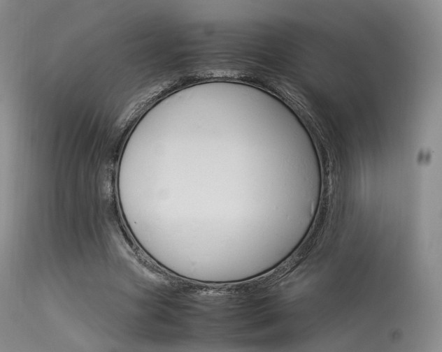 X0000113540537200909181026