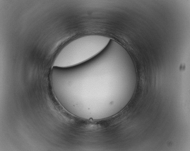 X0000113540543200909181026